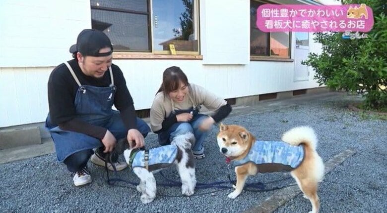 店長が看板犬！？個性＋可愛さを兼ねそろえた看板犬に癒される！　想いが詰まったこだわり溢れる空間｜FNNプライムオンライン