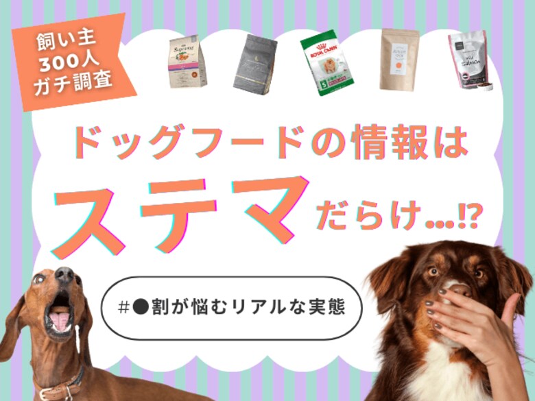 【飼い主300人に調査】ドッグフードの「ステマ」に疲弊…●割が抱える情報収集の悩みと、見え始めた「解決の糸口」