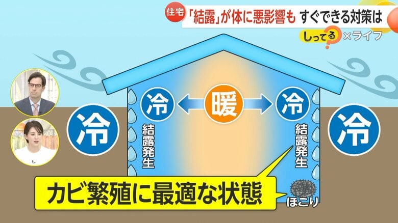 【解説】窓の結露でカビ繁殖…肺炎や気管支炎などアレルギー症状のリスク増大　対策は“換気”以外にも「食器用洗剤で溶かした水での窓拭き」なども有効｜FNNプライムオンライン
