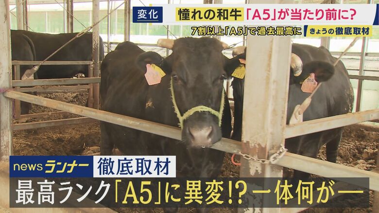もはや「育て方で100%出る」という憧れの「A5ランク」和牛　「A5の特別感はない」と精肉店関係者　本当においしいA5の選び方は「霜降りの入り方」と「脂の質」｜FNNプライムオンライン