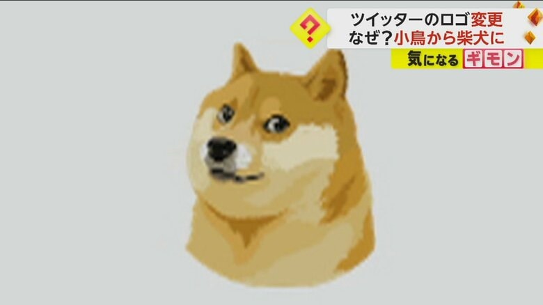 【モデルは千葉県で暮らす犬】ツイッターロゴ変更 “青い鳥”から“柴犬”に　マスクCEO「約束を守った」　アプリ版変わらず｜FNNプライムオンライン