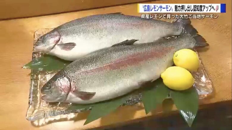 “レモン果汁”入りのエサで育てたご当地サーモン　8年間「赤字」で養殖に取り組み、地元の日本料理店で海鮮丼デビュー【広島発】｜FNNプライムオンライン