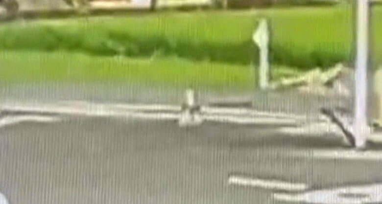 防犯カメラが捉えた「断層隆起」の瞬間　広島大学教授が現地調査　「学校に断層面」専門家も驚き　熊本地震｜FNNプライムオンライン