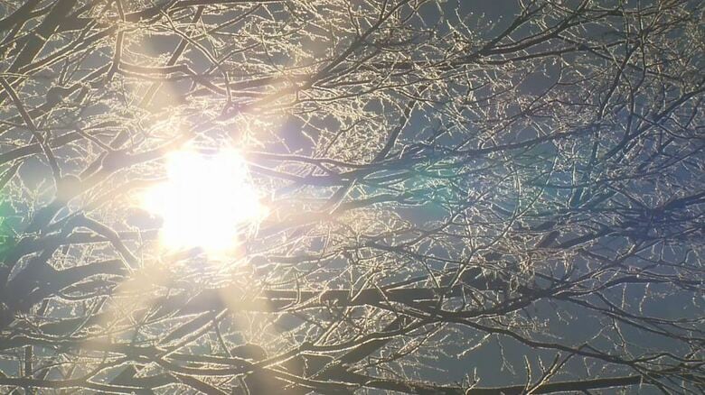 「水道、トイレの水が凍っていた」上田市菅平の23日の最低気温は−23.9℃　北海道・占冠の－25.1℃に次ぐ全国2位の寒さ　空気中の水分が凍り「ダイヤモンドダスト」もみられる｜FNNプライムオンライン