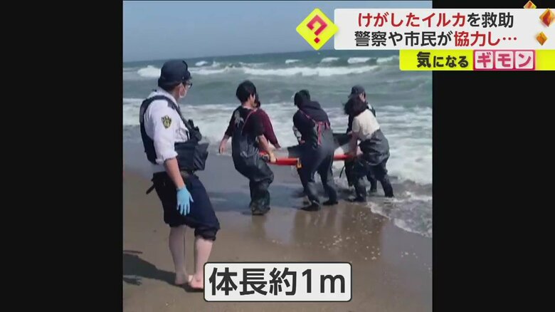(FNN投稿サイト「ビデオPost」)
