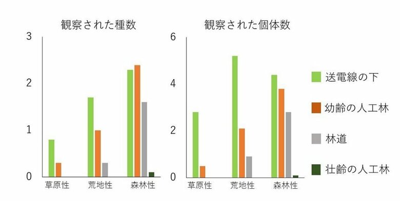 各環境で確認されたチョウの種数と個体数（画像提供：東京農工大学大学院グローバルイノベーション研究院教授　小池伸介）