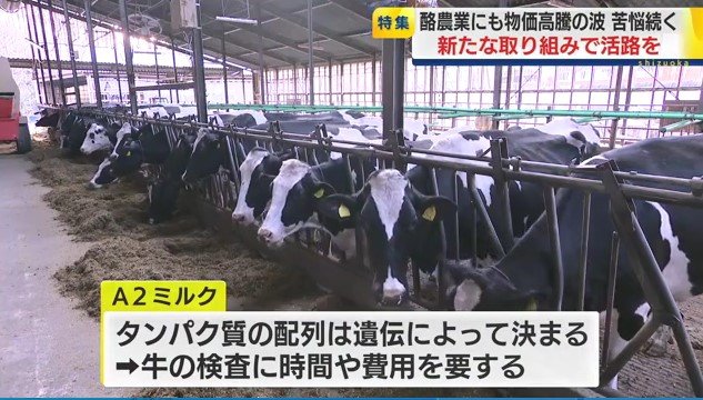 富士丸西牧場（富士宮市）