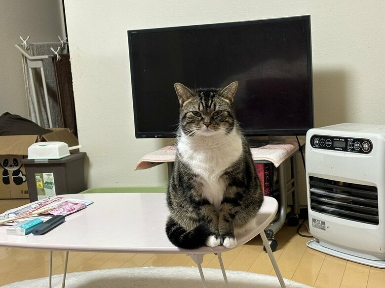 遅いと少しずつ近づいてくる