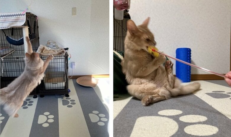 それぞれ遊んでいる様子（左：凪くん　右：颯くん）