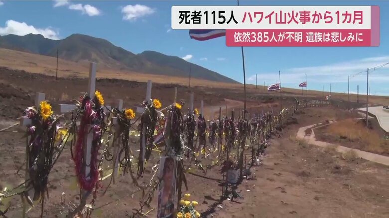 ラハイナの海が見渡せる丘に並んだ犠牲者を追悼する100個以上の十字架