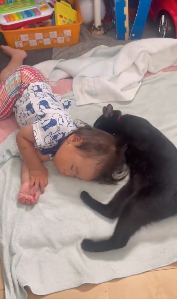 提供：ゴンゾウR4さん