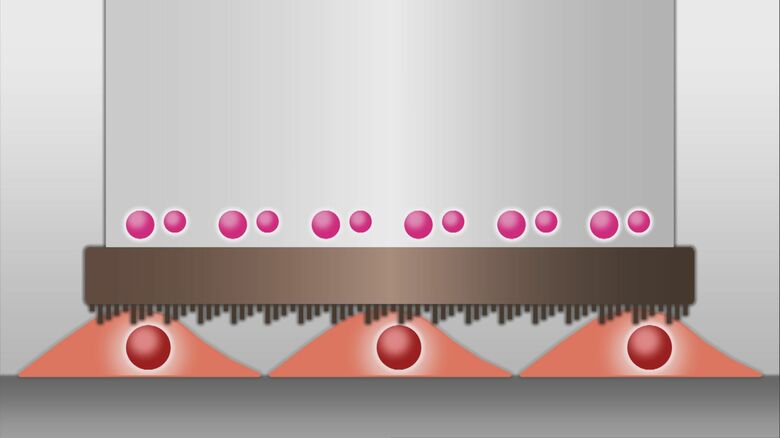 「ナノチューブ膜スタンプ」イメージ