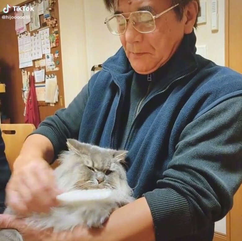 ブラッシングにうっとりなテオくん