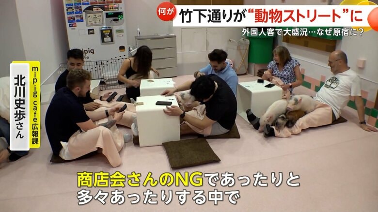 動物と触れ合いながら写真を撮る外国人客たち