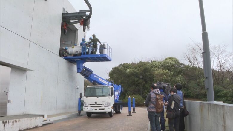 本館の観察用プールへ引っ越し作業（しまね海洋館アクアス）