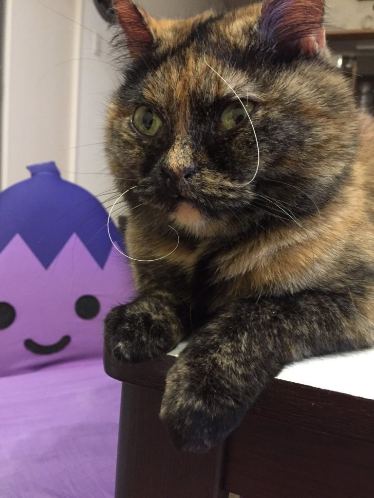 ジジちゃんはなぜかおひげがカールしてしまう