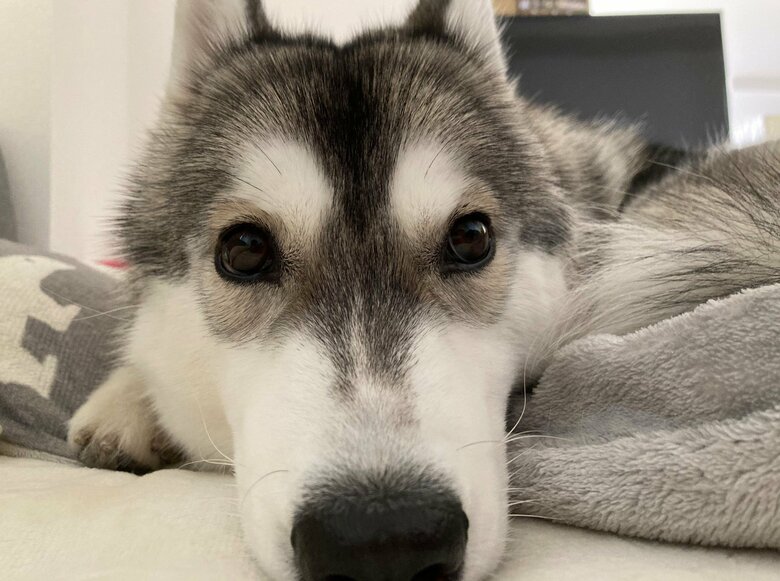 現在のみぞれちゃん