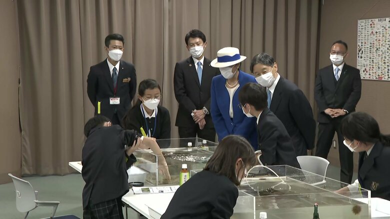 水産技術センターで水産教室を視察される両陛下（兵庫・明石市）