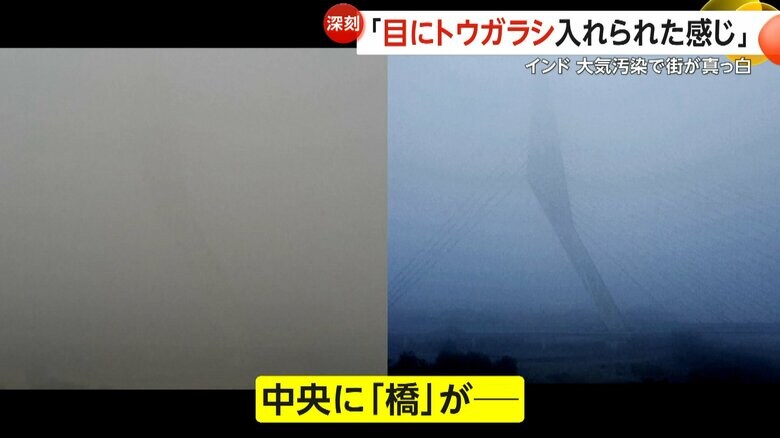 視界を遮られ隠れていた橋