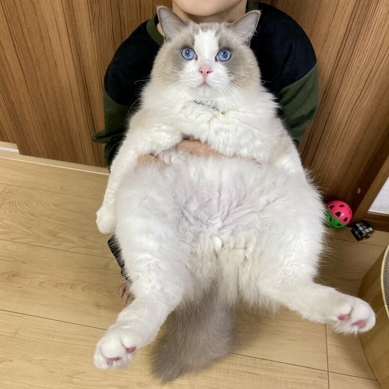 大きくなったが洗うと…