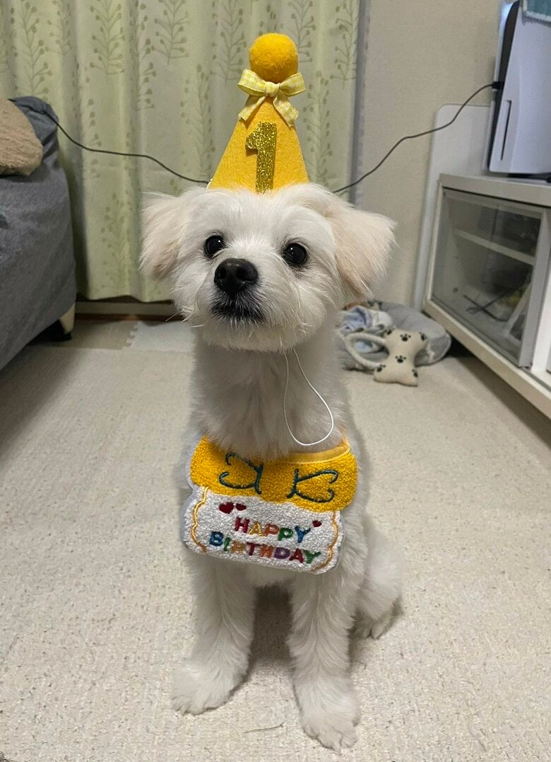 1歳のお誕生日