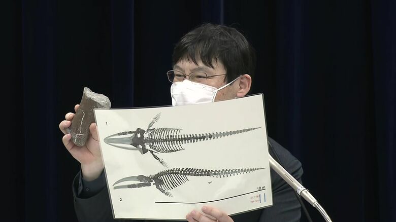 札幌市博物館活動センターの田中嘉寛学芸員