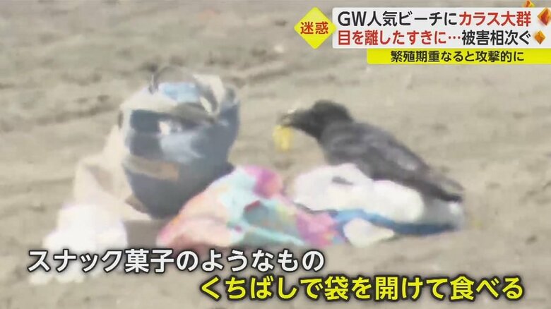 くちばしで開けて食べている。