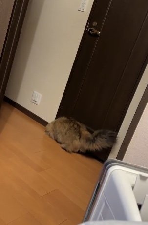 提供：ひなたさん