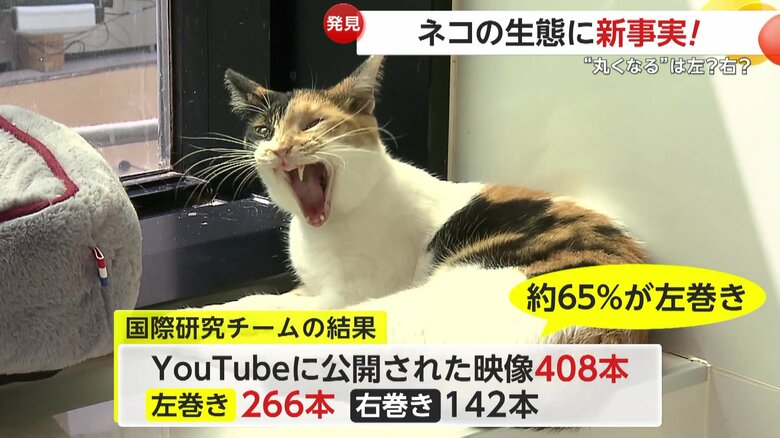 調査結果では「左巻き」が優勢