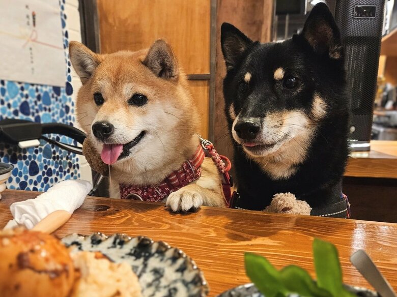 提供：kuroazu_beansさん