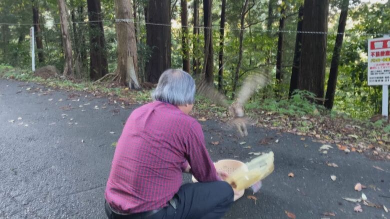 元気に飛び立つフクロウ