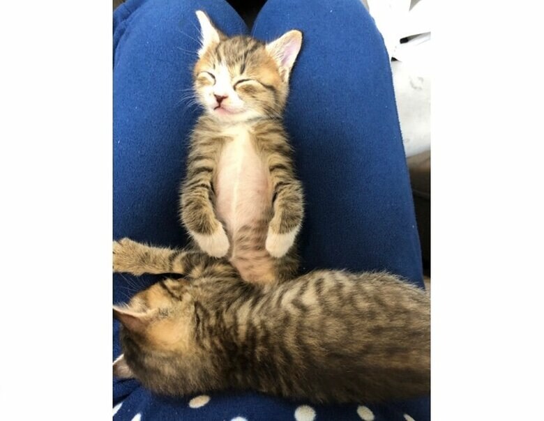 提供：もずく＆こんぶさん