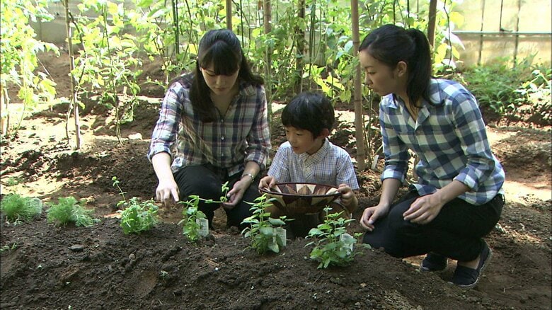 平成26年8月（2014年） 8歳の誕生日映像（赤坂御用地）