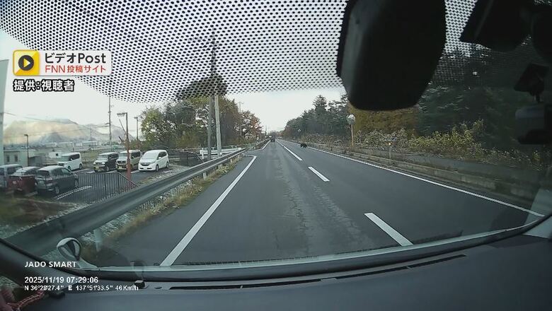 道路を横切るクマ（提供：視聴者）