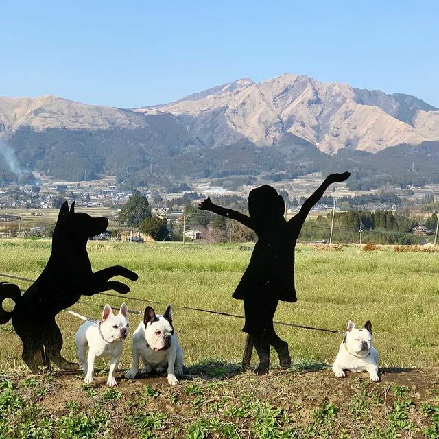 提供：gaudikunさん