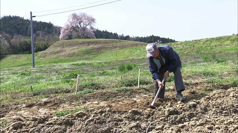 のどかな景色に溶け込む美しい佇まい