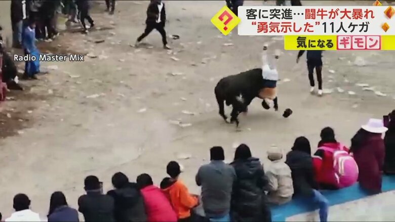 一騎打ちを挑んだ男性が、牛に突進される瞬間⑧