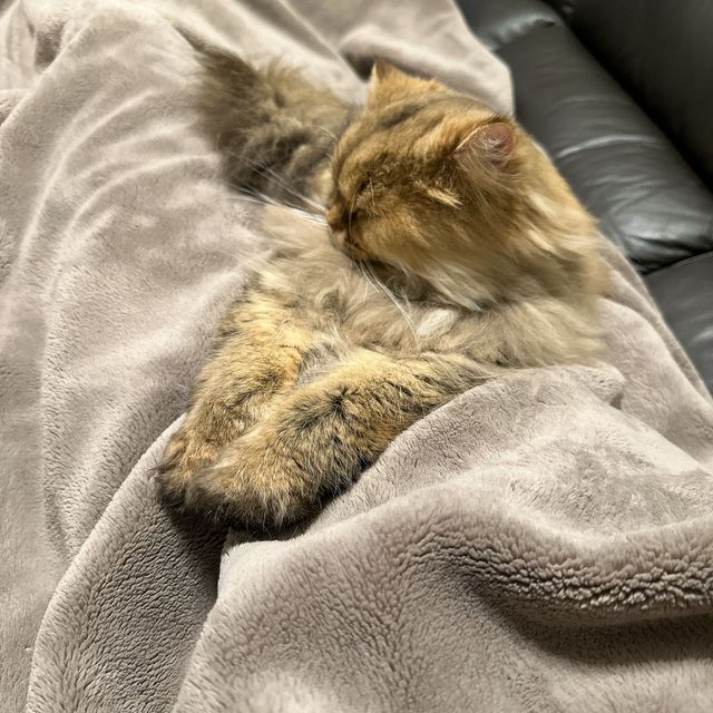 提供：ひなたさん