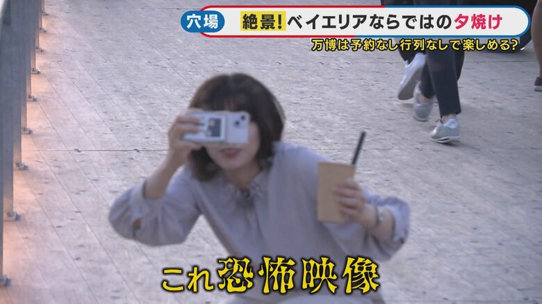 降ってくるユスリカ