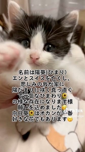 提供：エンとちぃさん