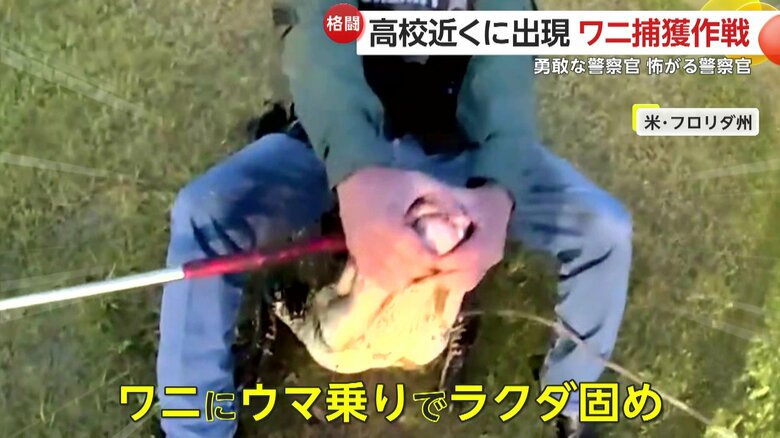 （Manatee County Sheriff's Office）