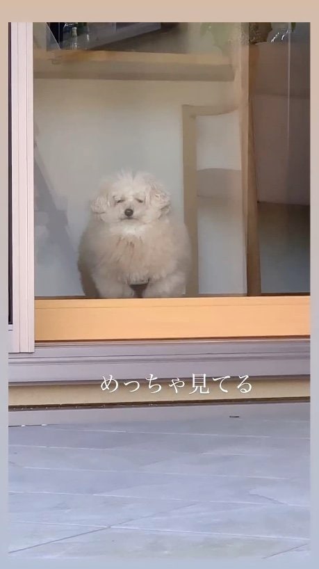 提供：＠tsuru_323さん