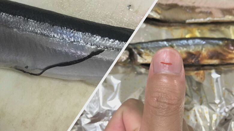 魚食普及推進センターHPより