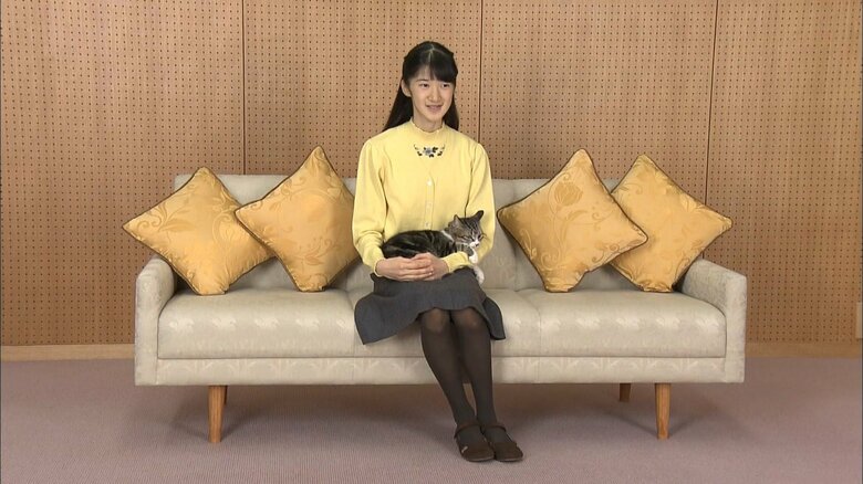 愛猫のセブンと一緒に