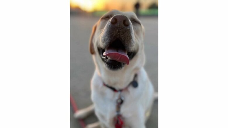 笑顔の薫風ちゃん