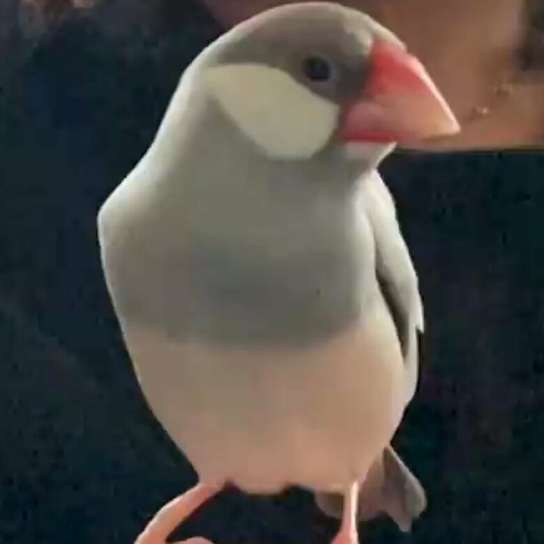 細身スキニーパンツ