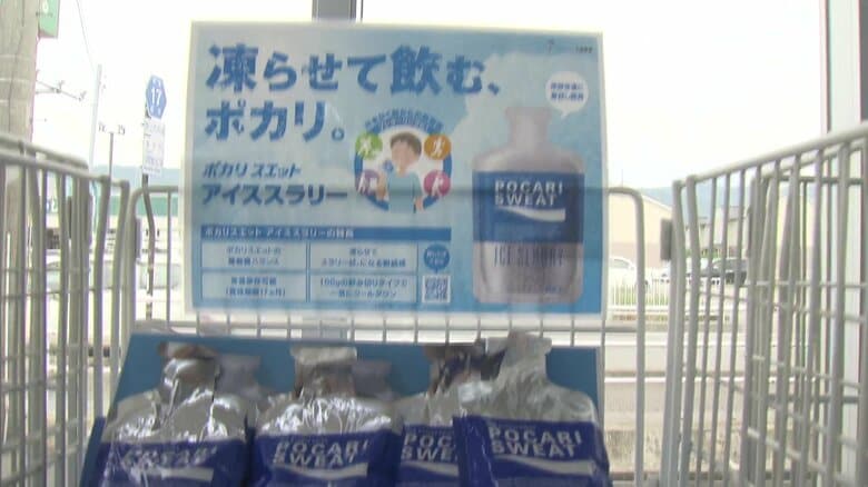 店の目立つ場所に陳列されている