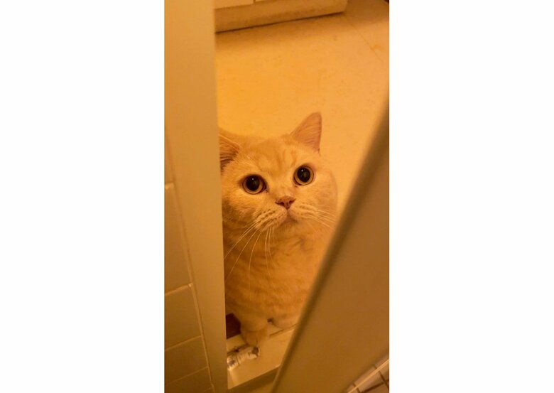 みかん（提供：みかんとじろうさんちさん）