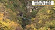 東北有数の紅葉スポット「鳴子峡」が見頃　長雨の影響もなく鮮やかな秋の景色に観光客も魅了〈宮城〉