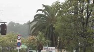 【台風情報】台風6号　まもなく九州南部を直撃へ　宮崎と鹿児島の一部に警戒レベル3の大雨警報　沖縄で16人けが